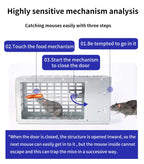 Multi-Catch Rodent Trap Cage