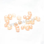 Freshwater Pearl Oyster DIY Kit