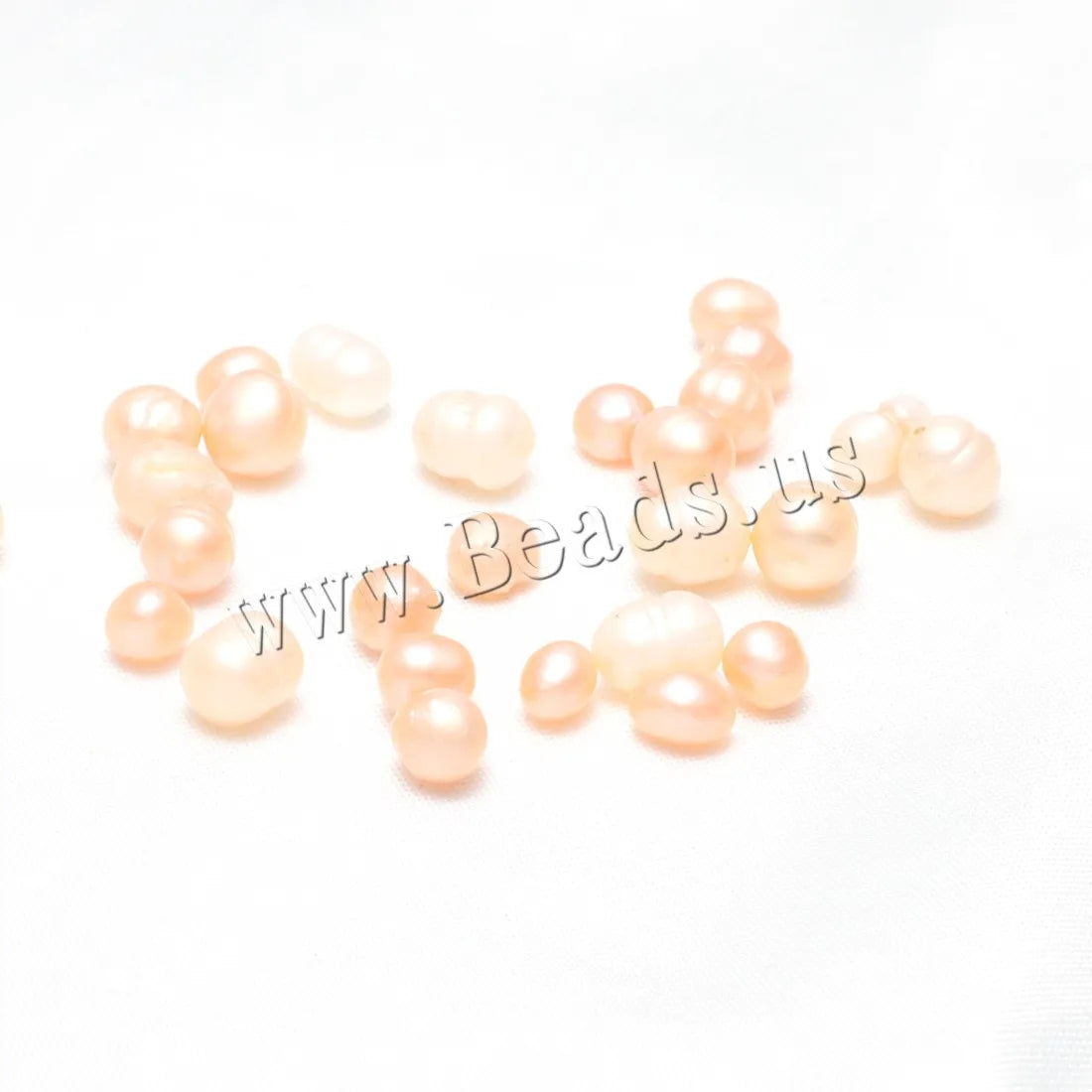 Freshwater Pearl Oyster DIY Kit