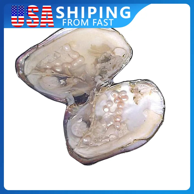 Freshwater Pearl Oyster DIY Kit