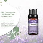Pure Lavender Essential Oil – Natural Aromatherapy Diffuser Oil