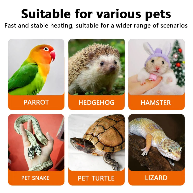 Ceramic Heat Emitter Bulb for Reptiles & Poultry