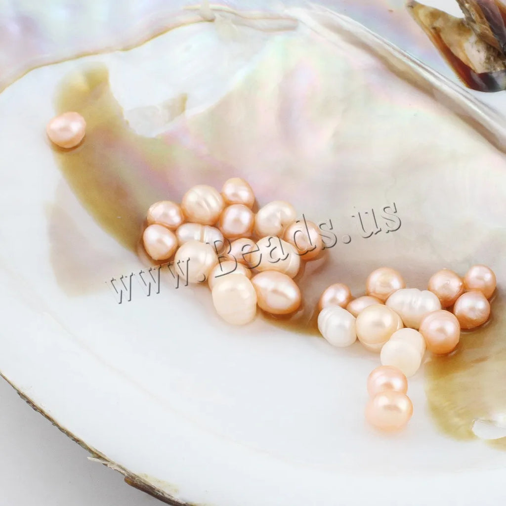 Freshwater Pearl Oyster DIY Kit