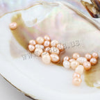 Freshwater Pearl Oyster DIY Kit