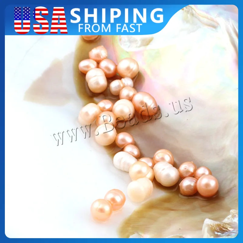 Freshwater Pearl Oyster DIY Kit